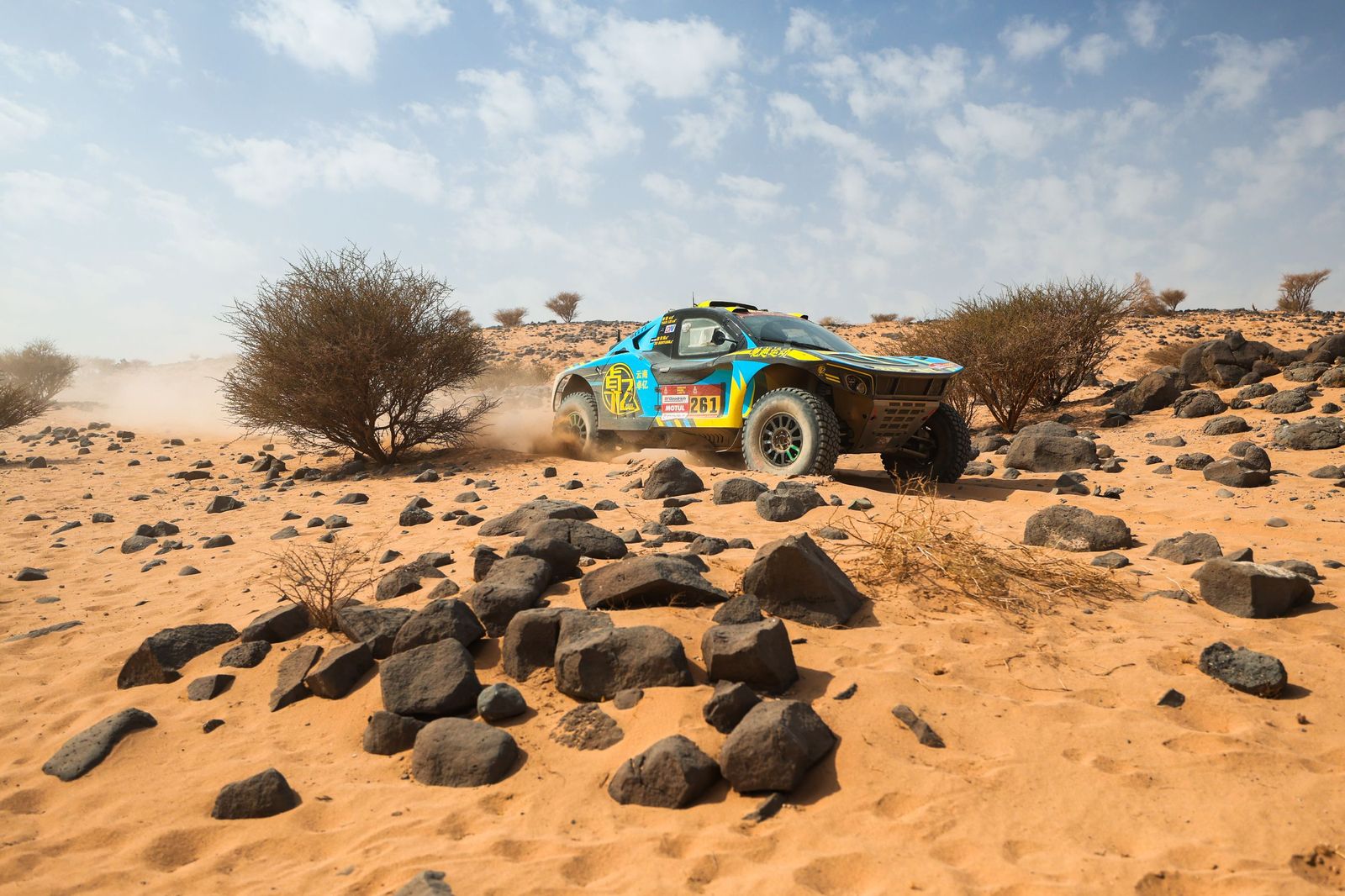Las mejores fotos del Rally Dakar | undécima etapa