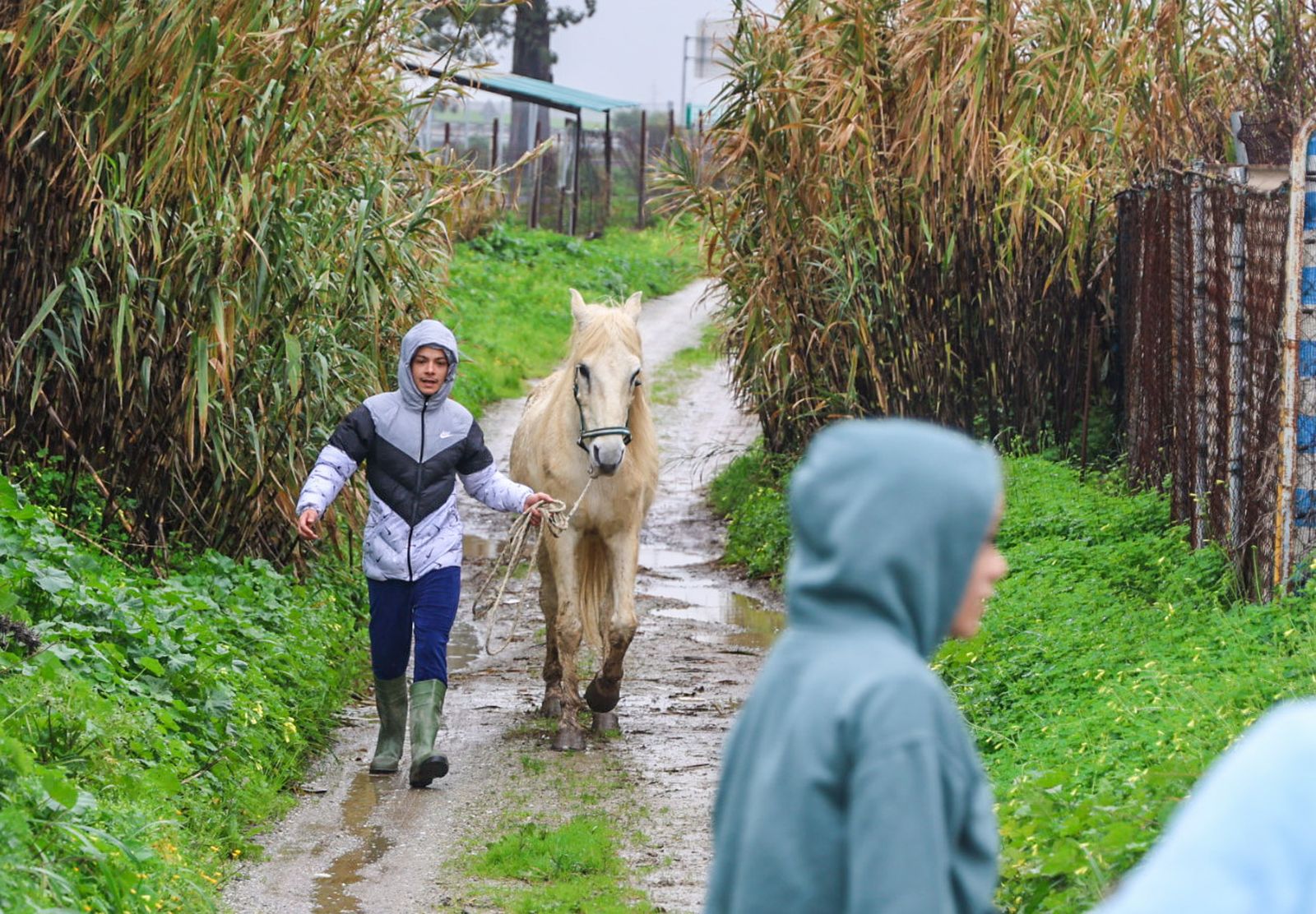 Fotografías del desalojo de familias y animales en Peguerillas por la borrasca Leonardo