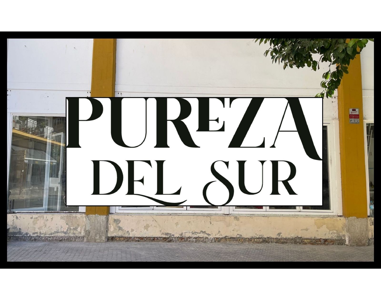 Pureza del Sur