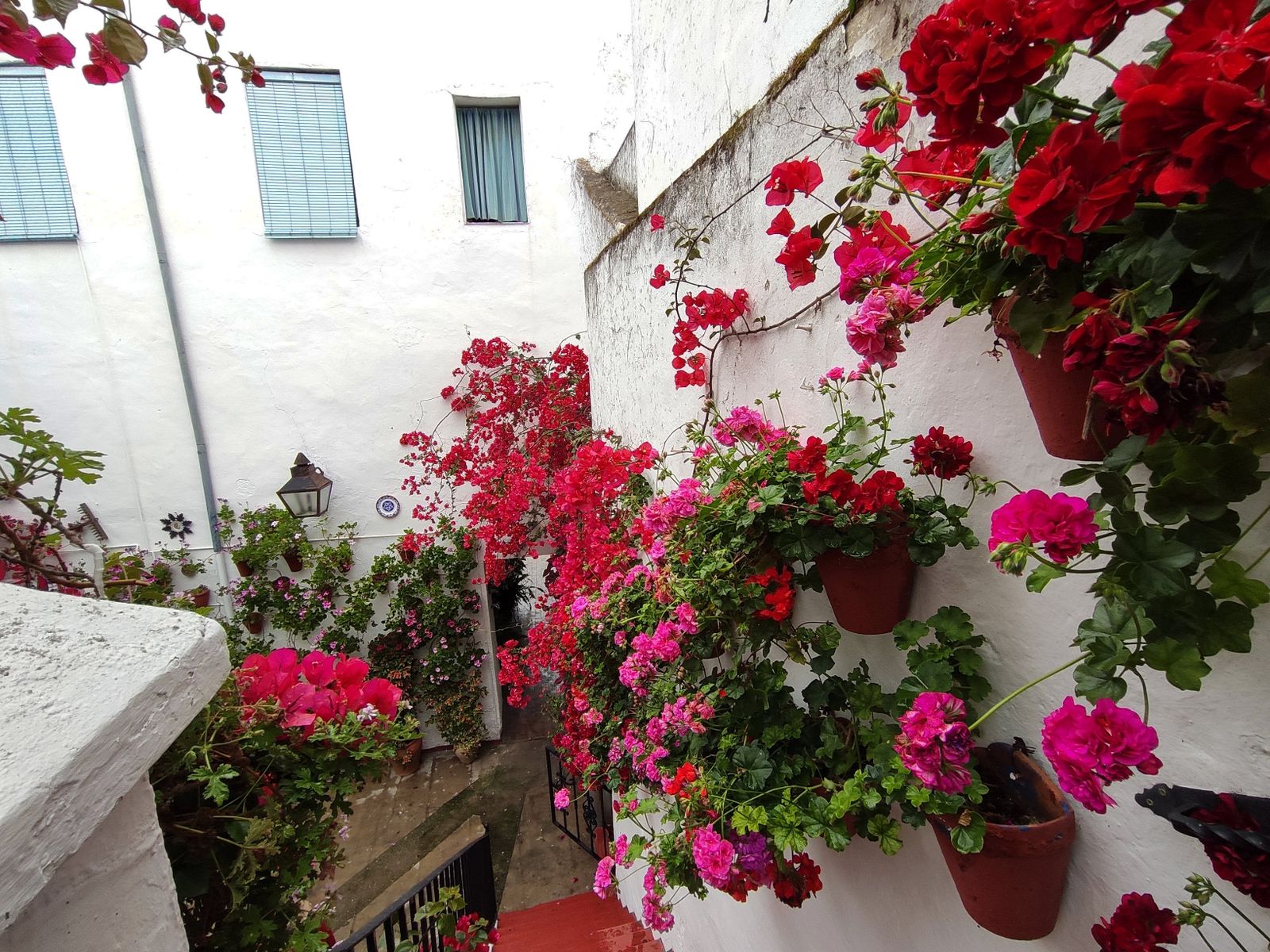 Los Patios  de Córdoba en tiempos de crisis: Siete Revueltas, 1