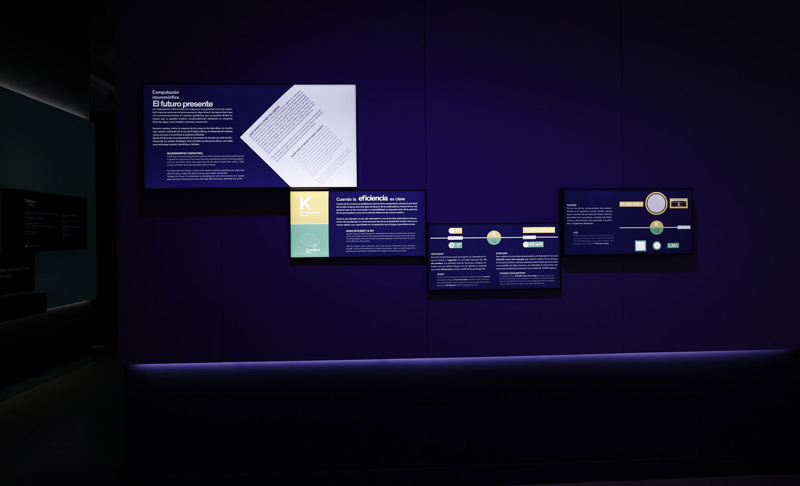 Las imágenes de la exposición interactiva “Talking Brains”