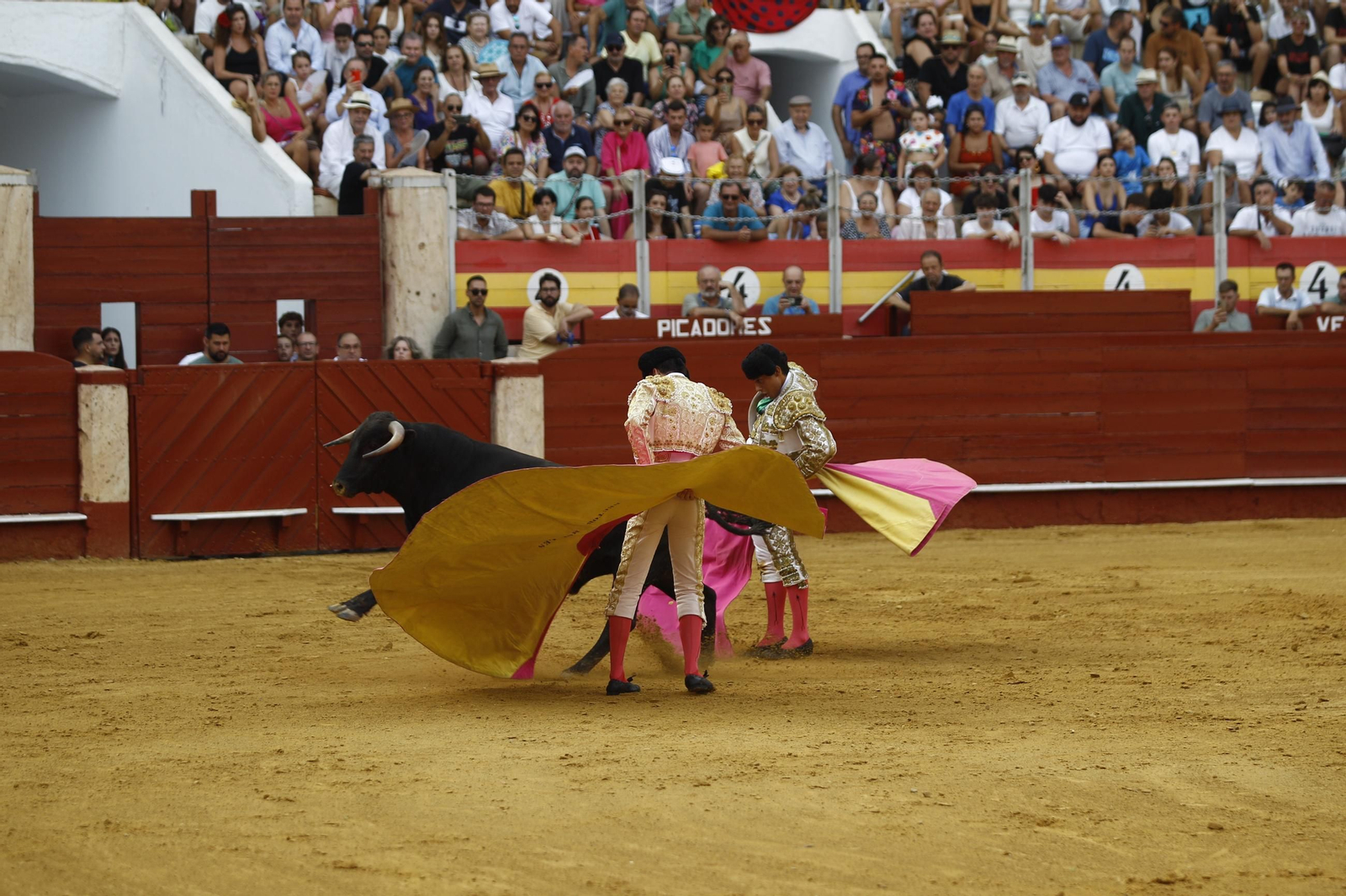 Las mejores imágenes de la clase práctica de la Escuela Municipal Taurina de Almería