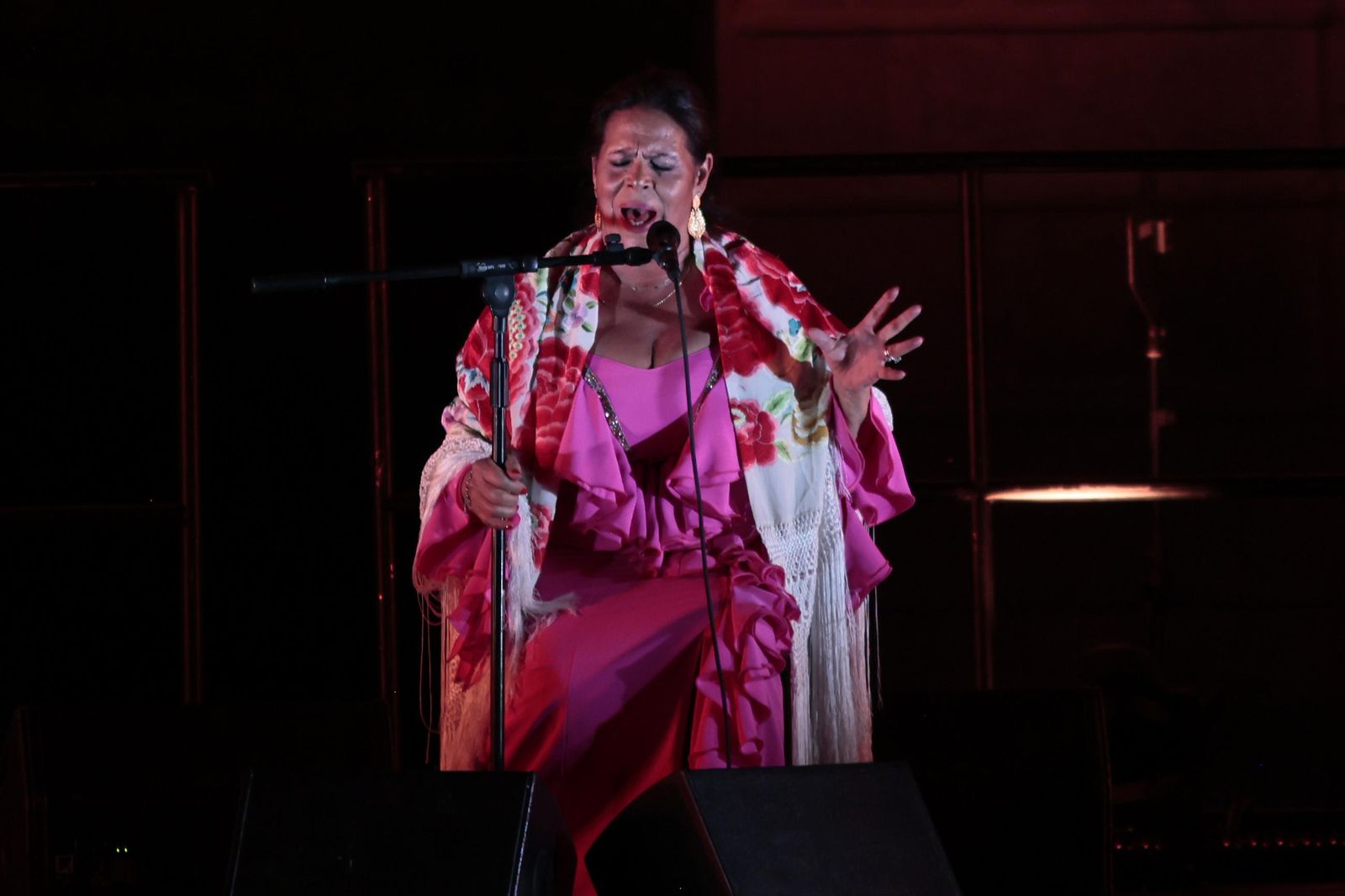 Las imágenes del recital de Aurora Vargas en la Bienal