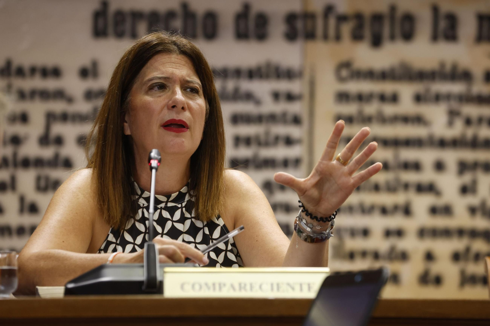 La ex militante del PSOE Leire Díez comparece en la comisión de investigación del caso Koldo en el Senado.