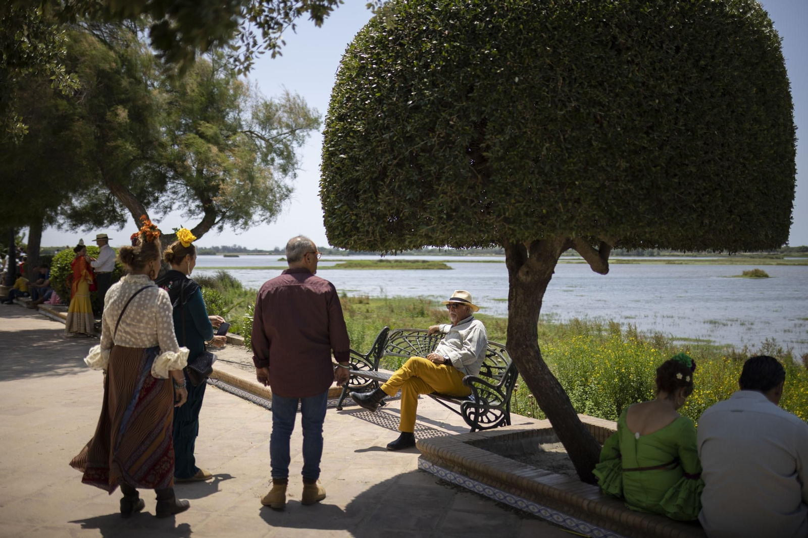 El Rocío 2023: Imágenes del ambiente este domingo en la aldea