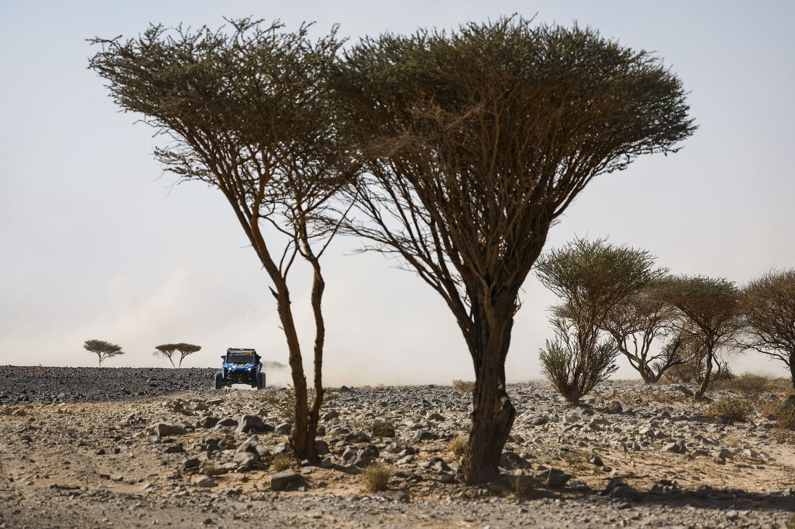 Las mejores fotos del Rally Dakar | Novena etapa