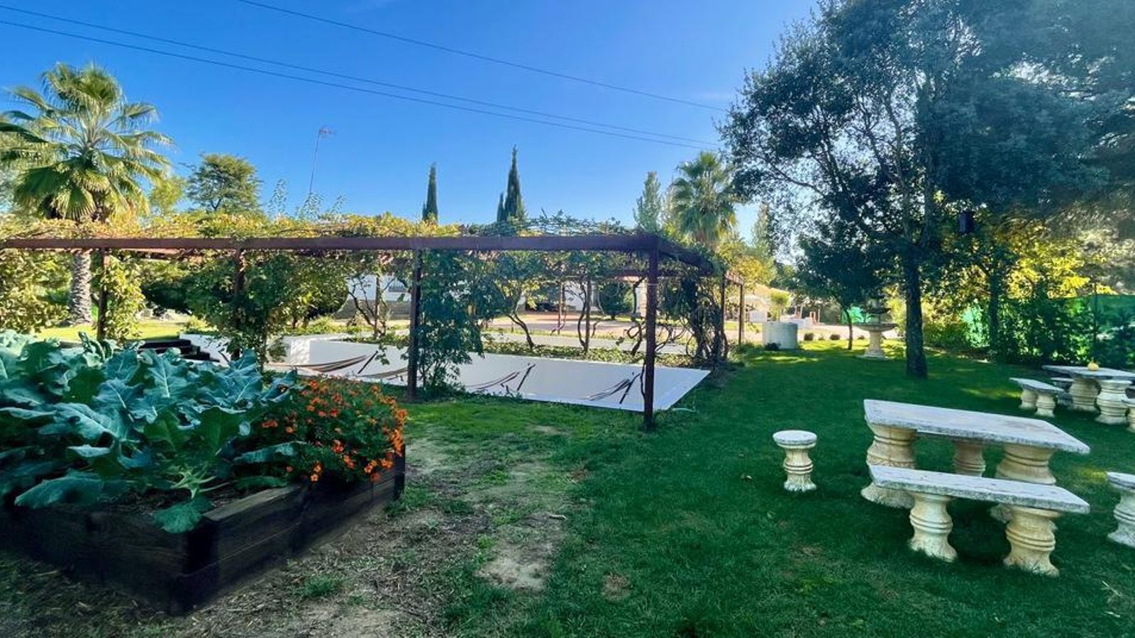 Huerta y entorno de Finca Alfoliz