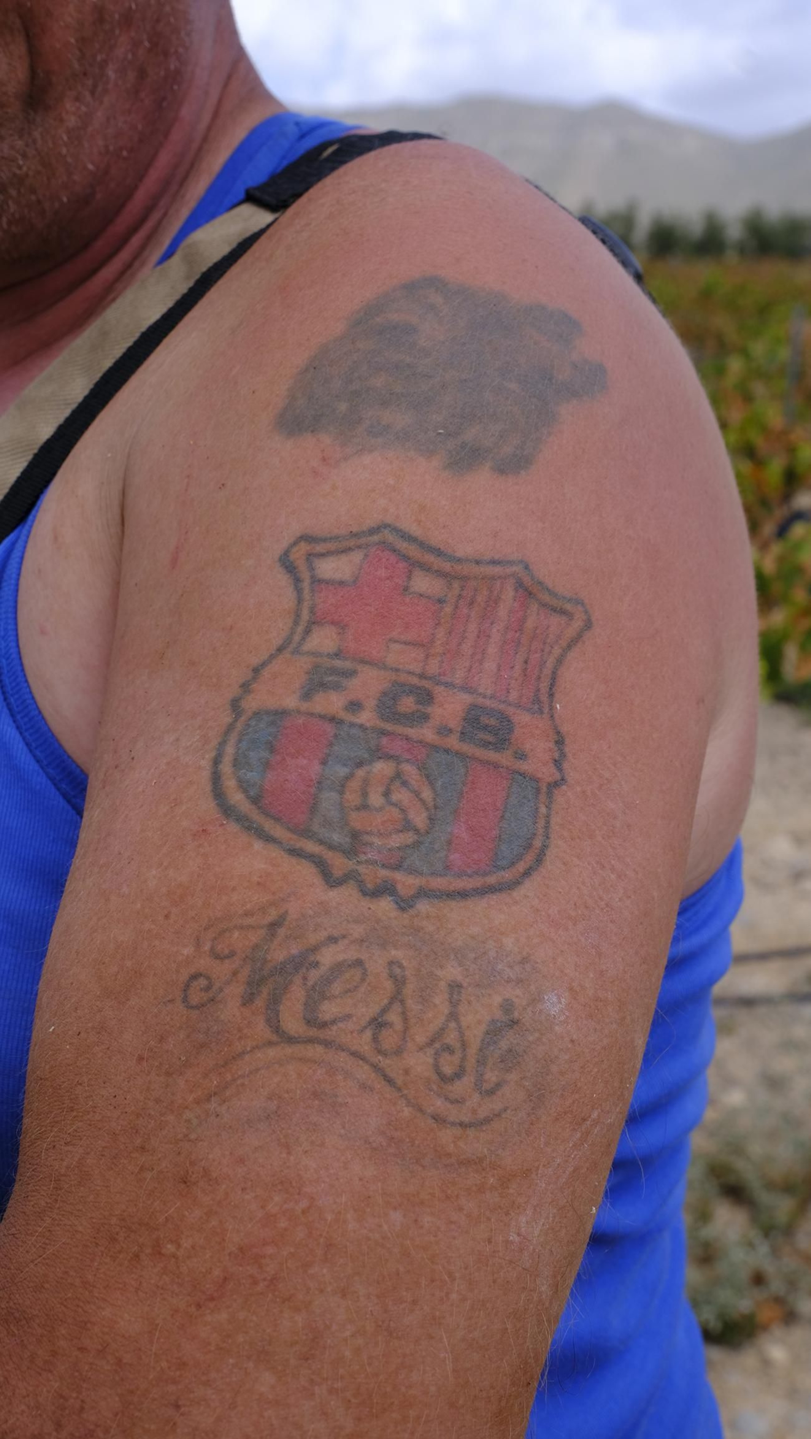 Llega la vendimia a las Bodegas Perfer, en Uleila del Campo