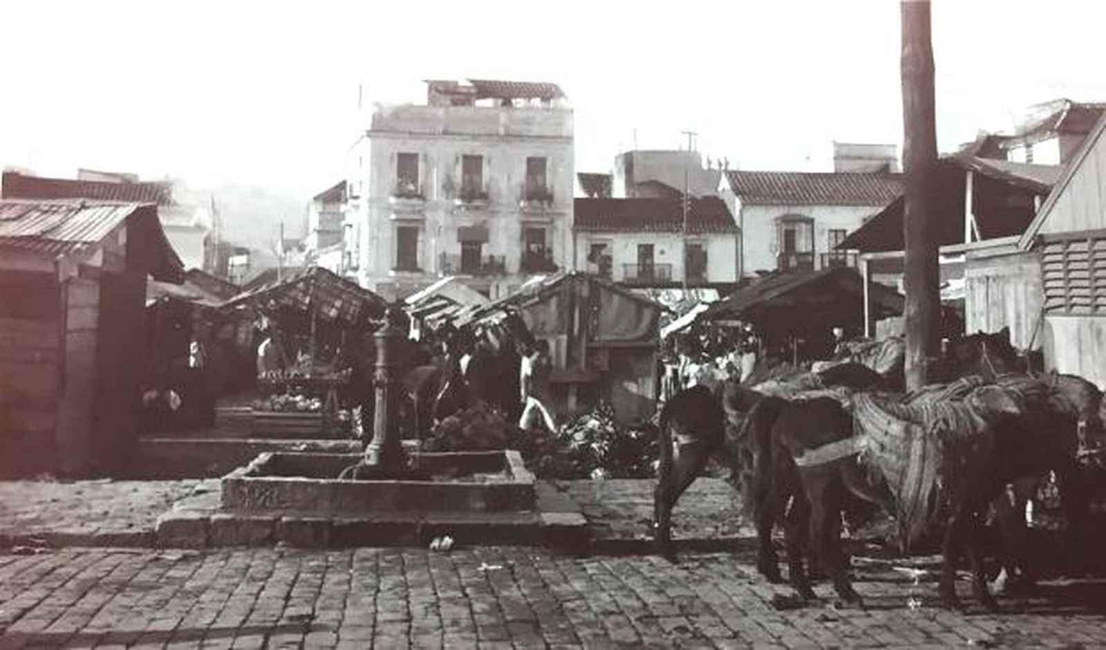 El café de los hermanos Delgado se encontraba en la plaza de la Palma.