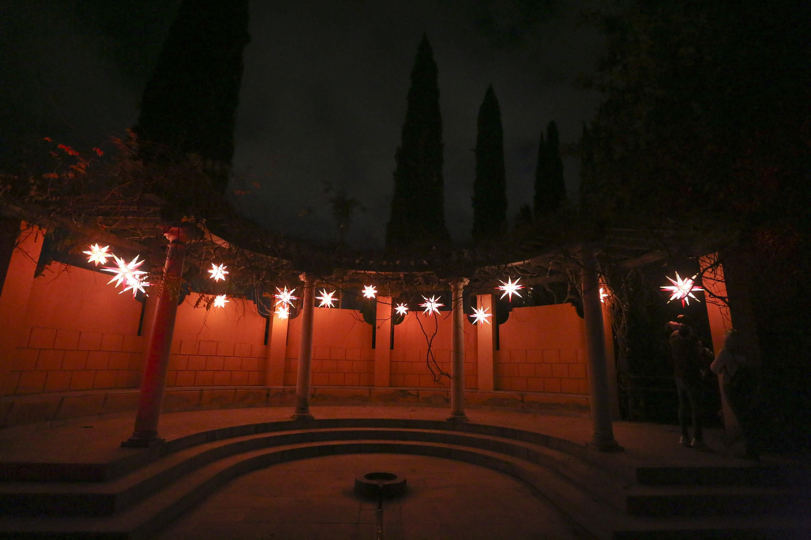 Las luces del Jardín Botánico de Málaga esta Navidad, en fotos