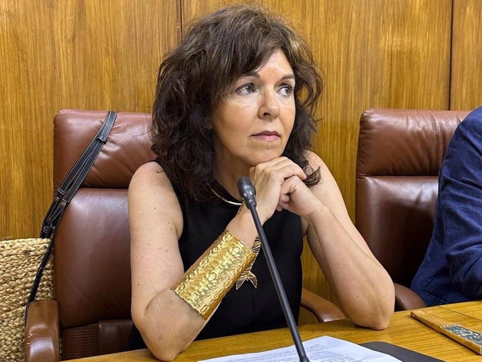 La parlamentaria andaluza del PSOE María Ángeles Prieto