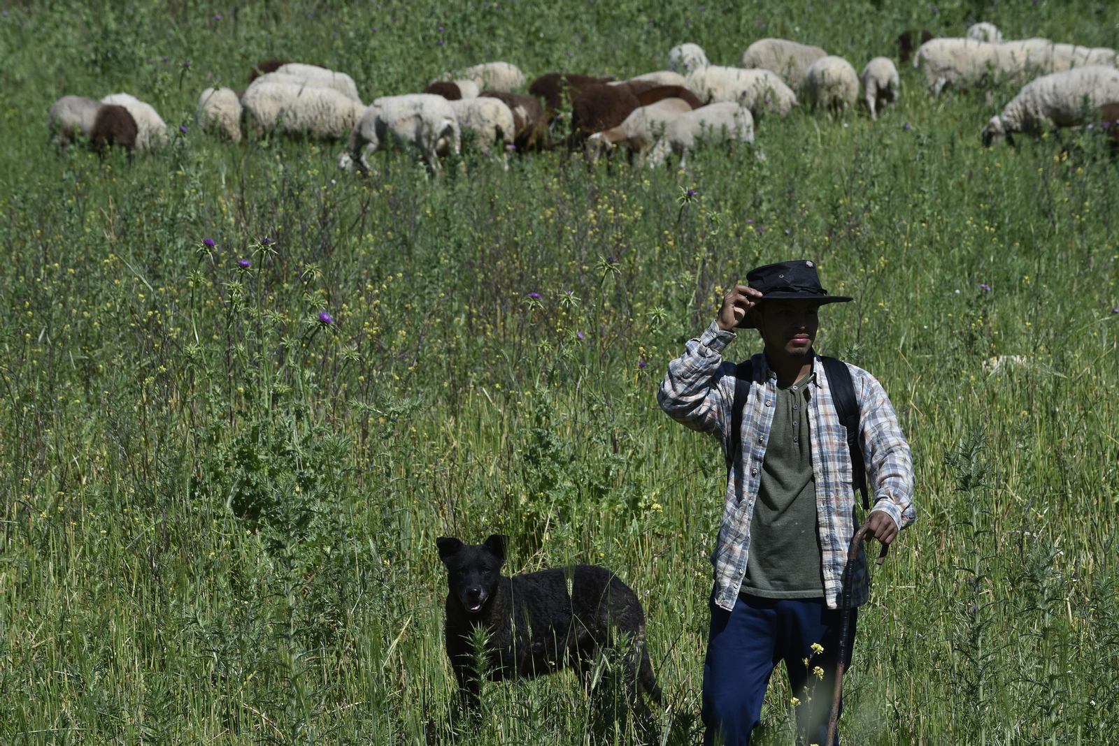 La resistencia en los pueblos de Sevilla al Coronavirus: Aguadulce