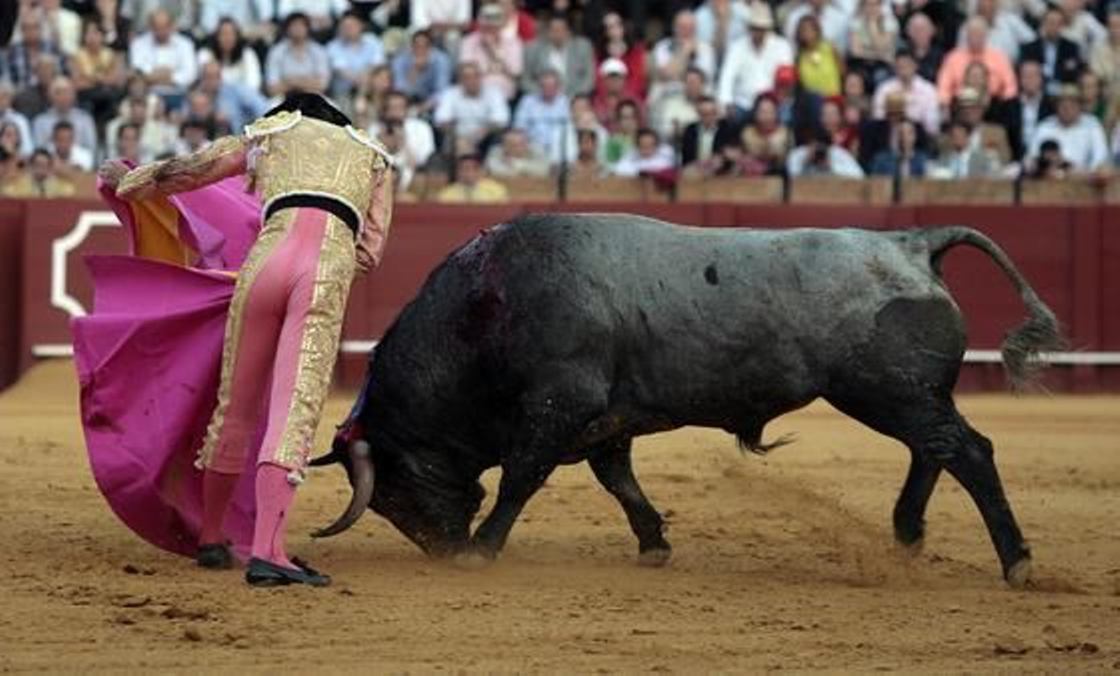 Foto: Juan Carlos Muñoz