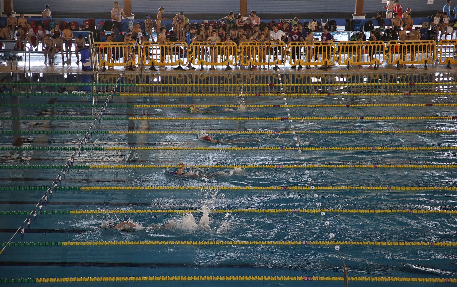 Fotos de la Fase II del Circuito alevín de la  Real Federación Española de Natación en Los Barrios