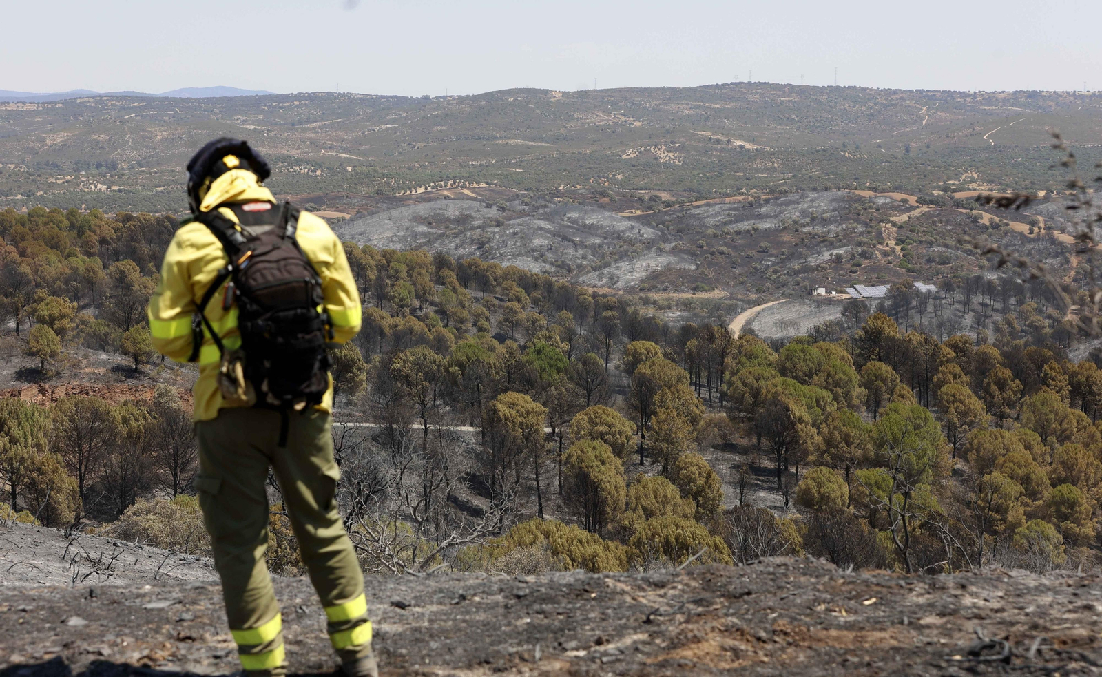 Los efectos del incendio en el Ronquillo en imágenes