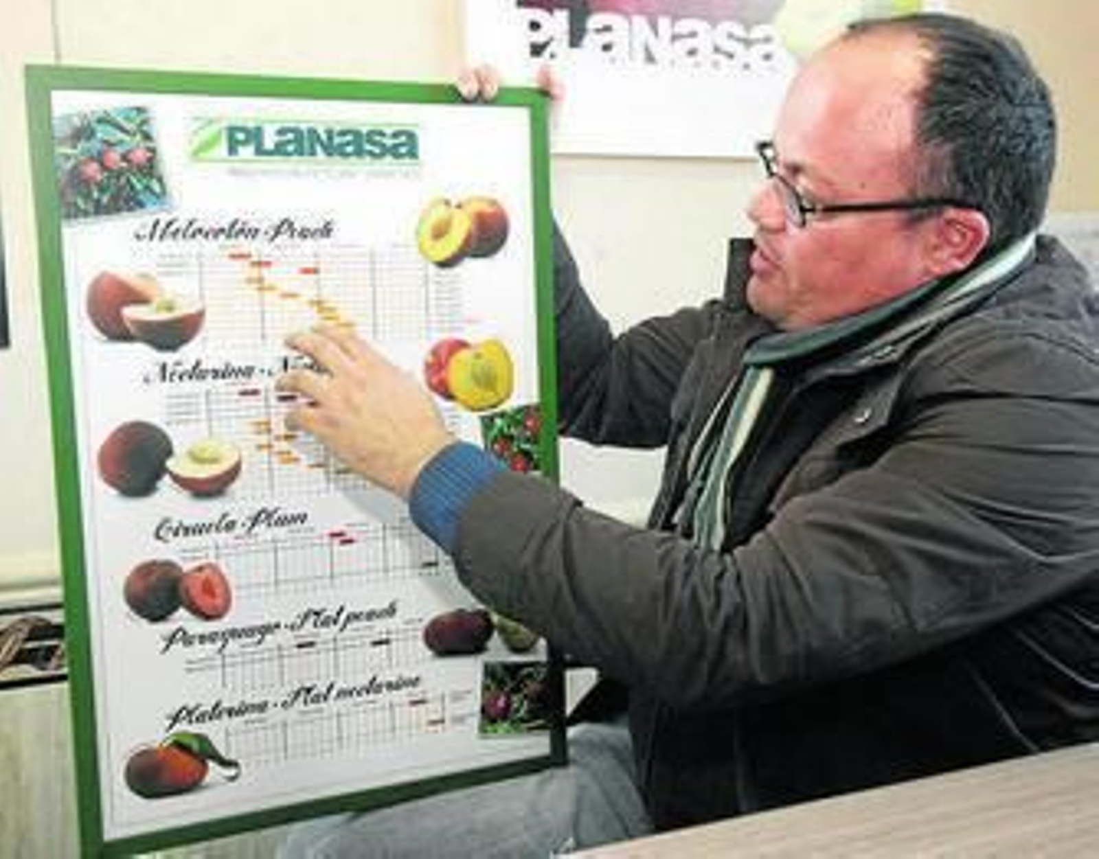 Francisco Murillo explica las variedades de frutas de hueso cultivadas.