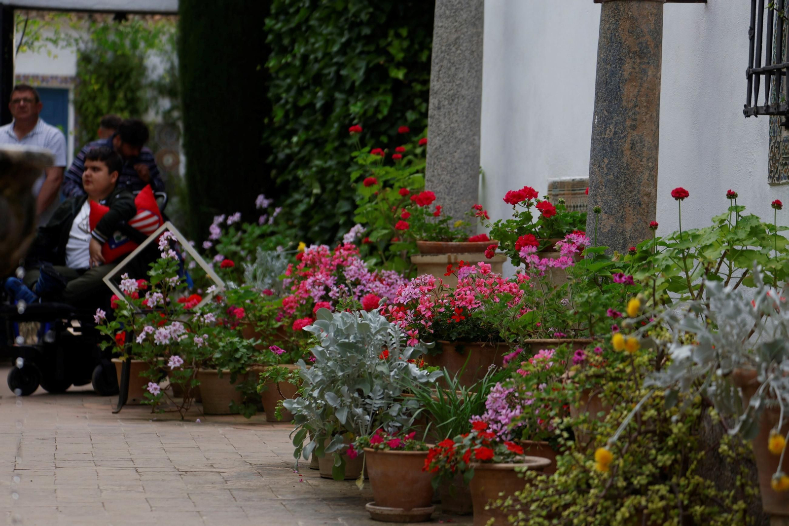 Los Patios del Palacio de Viana, en imágenes