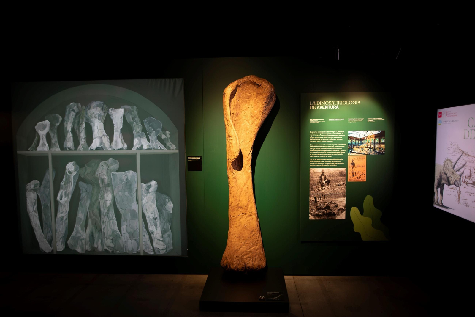 Así se han apoderado los dinosaurios del Parque de las Ciencias de Granada