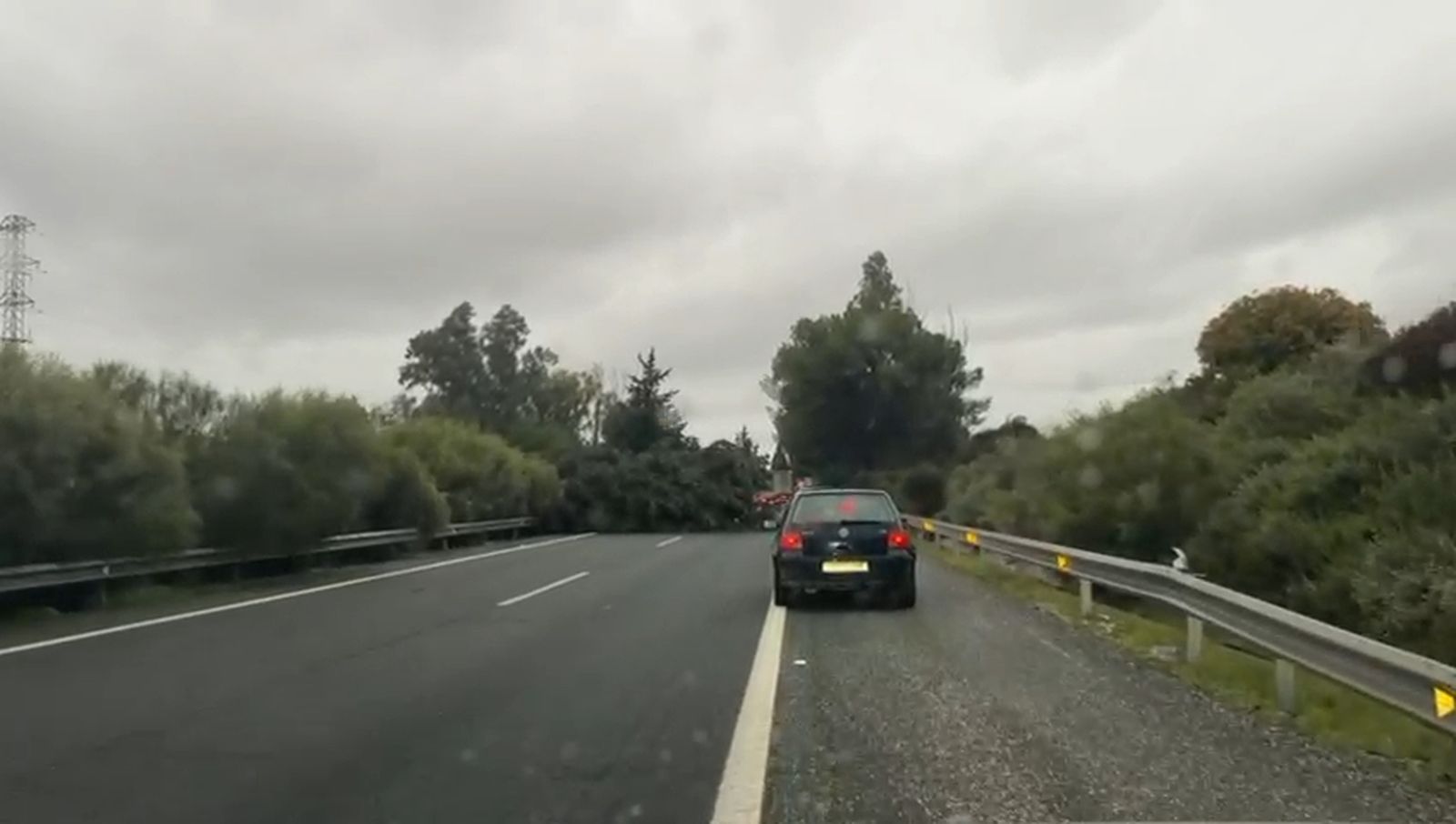 Colas kilométricas sentido Sevilla en la AP-4 desde Los Palacios por desprendimiento de árboles
