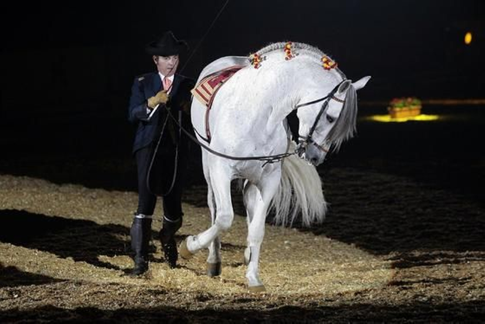 Número de riendas largas por Juan José Verdugo.

Foto: Juan Carlos Muñoz