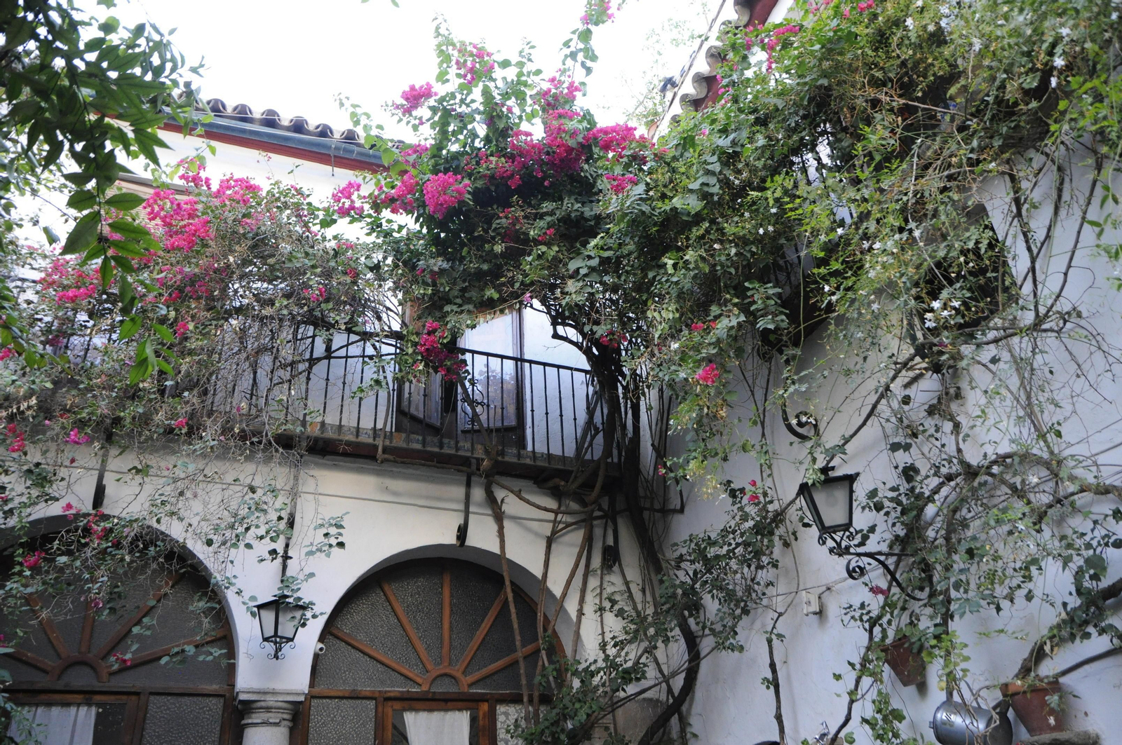 Los Patios de Córdoba se acicalan para su apertura en otoño, en fotografías