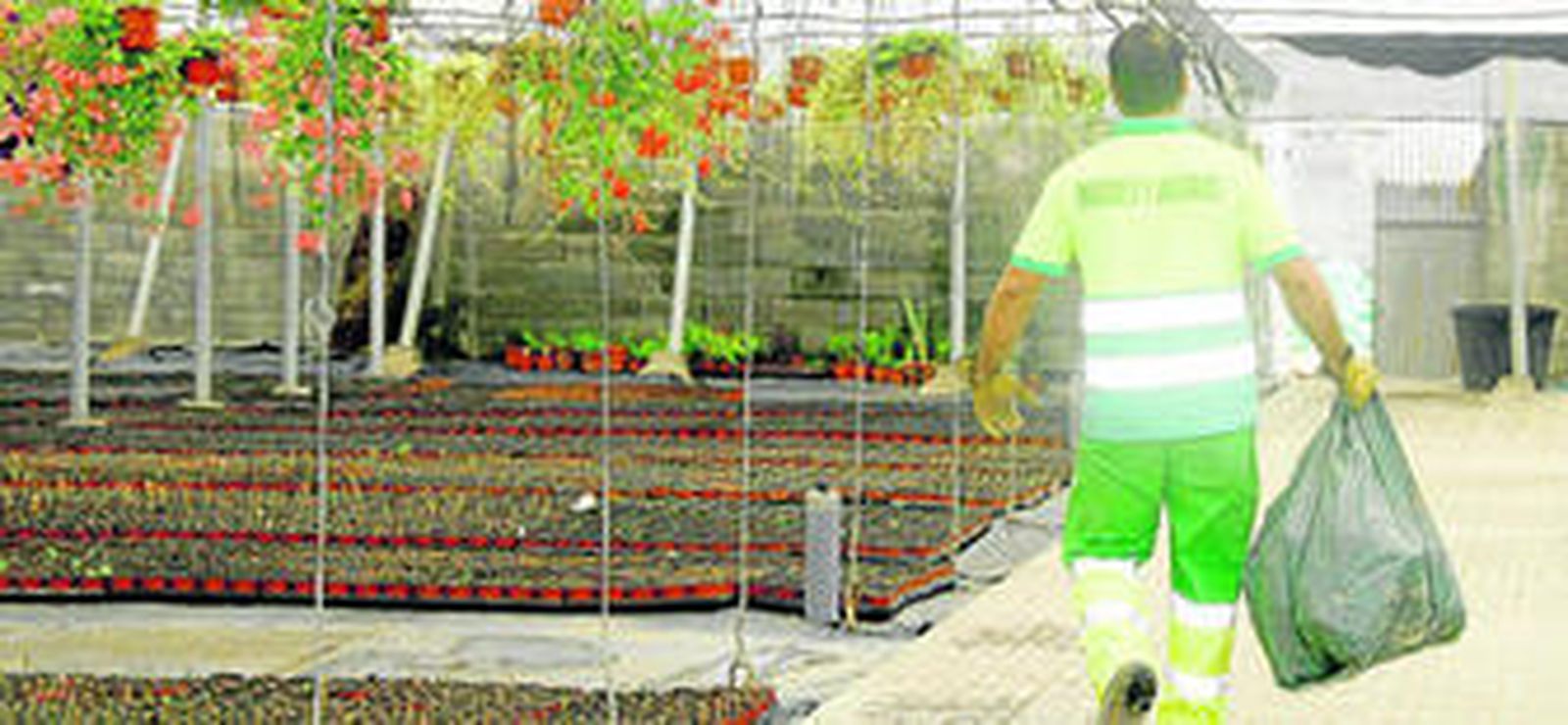 Uno de los trabajadores que se encarga de mantener y cuidar las instalaciones del vivero municipal.