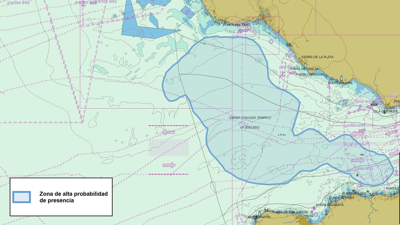 Interacciones con orcas en el Golfo de Cádiz