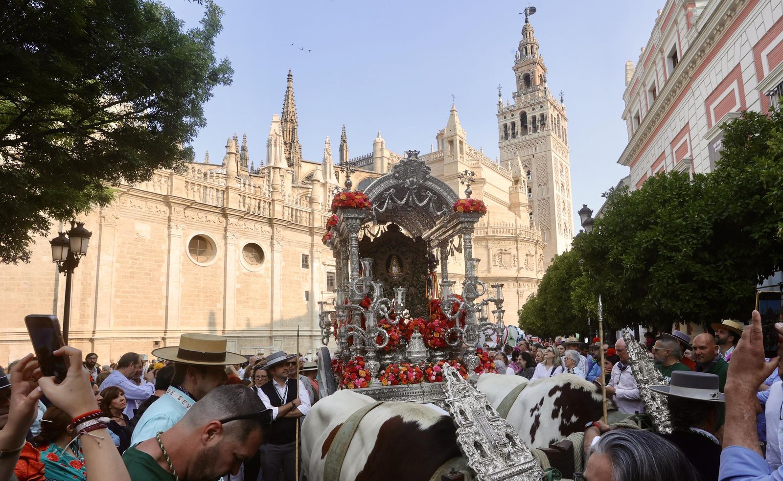 Las mejores fotos de la salida de la Hermandad de Sevilla hacia el Rocío