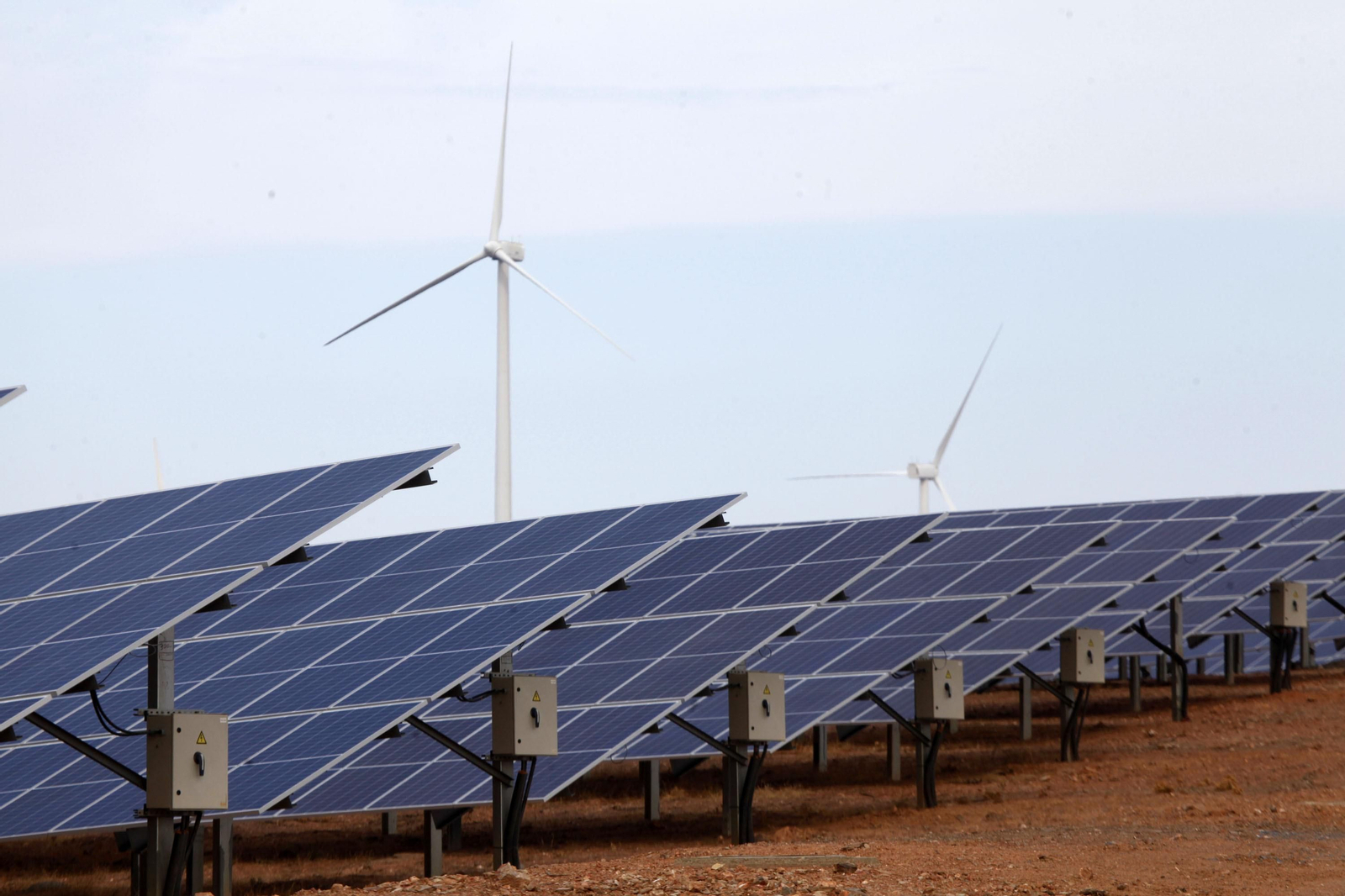 Placas de una planta fotovoltaica.