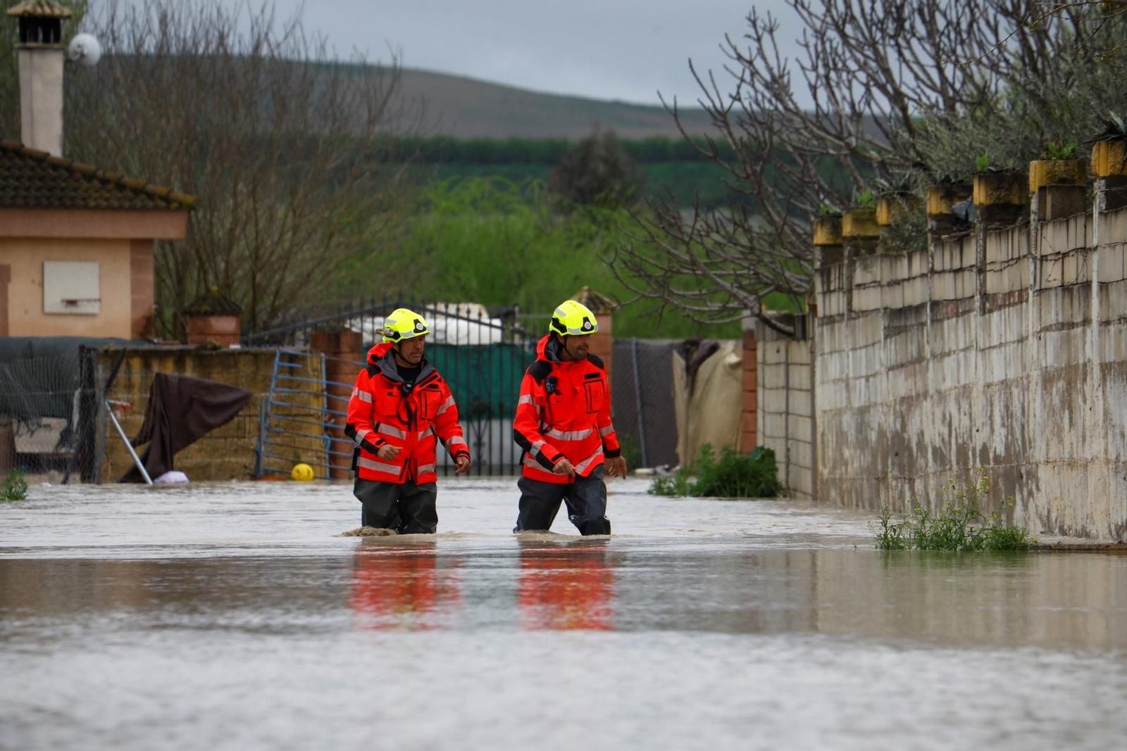 Las imágenes de las parcelaciones inundadas por la crecida del río Guadalquivir