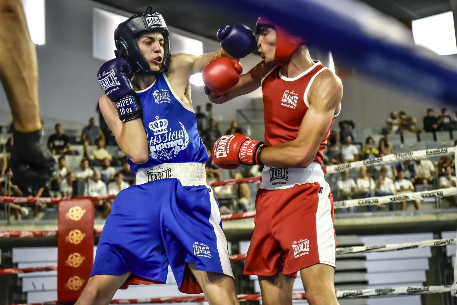 las imágenes más espectaculares del Andaluz de Boxeo Amateur en Jerez