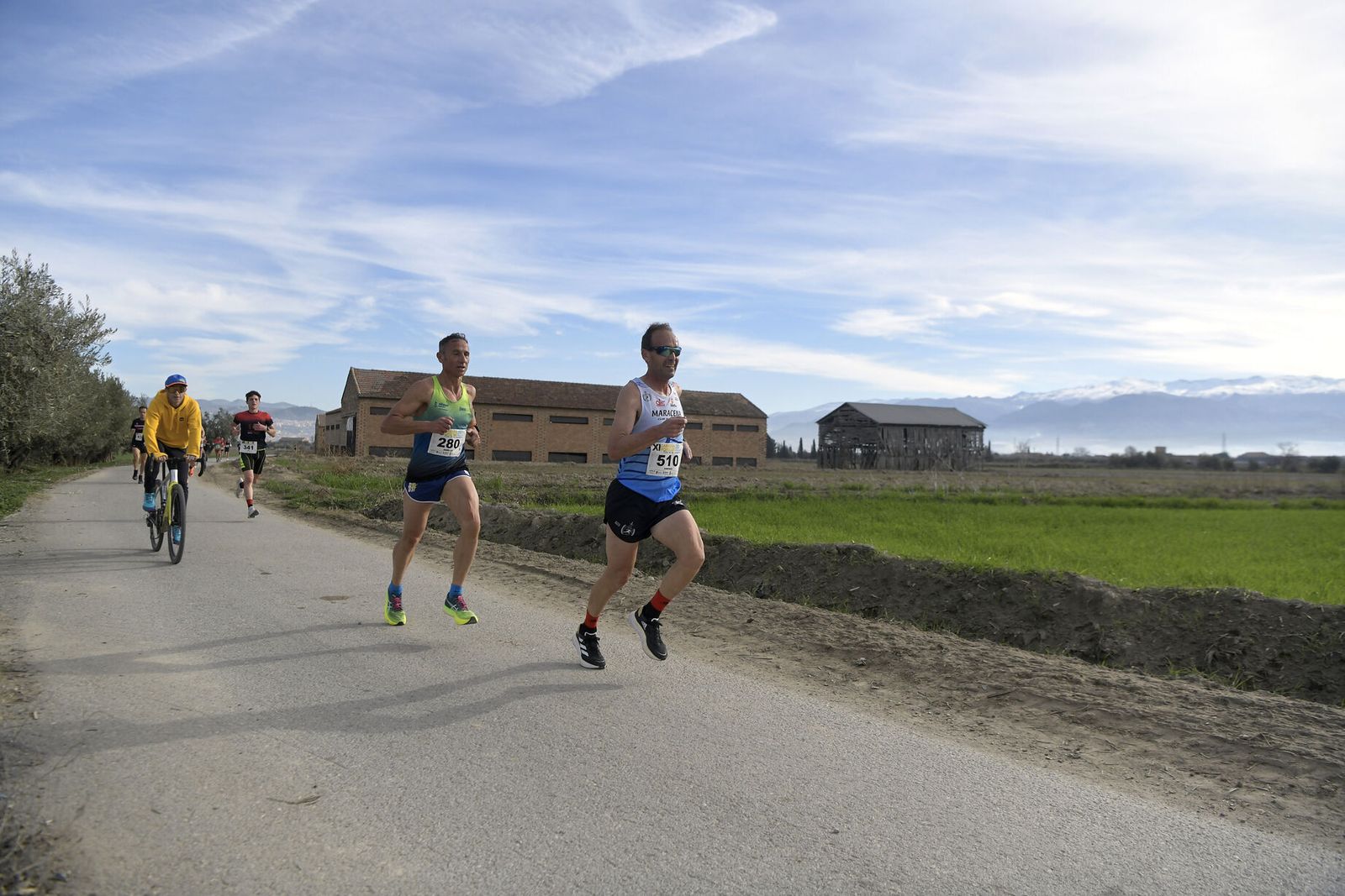 Las imágenes de la Carrera de la Ruta del Secadero de Cúllar Vega