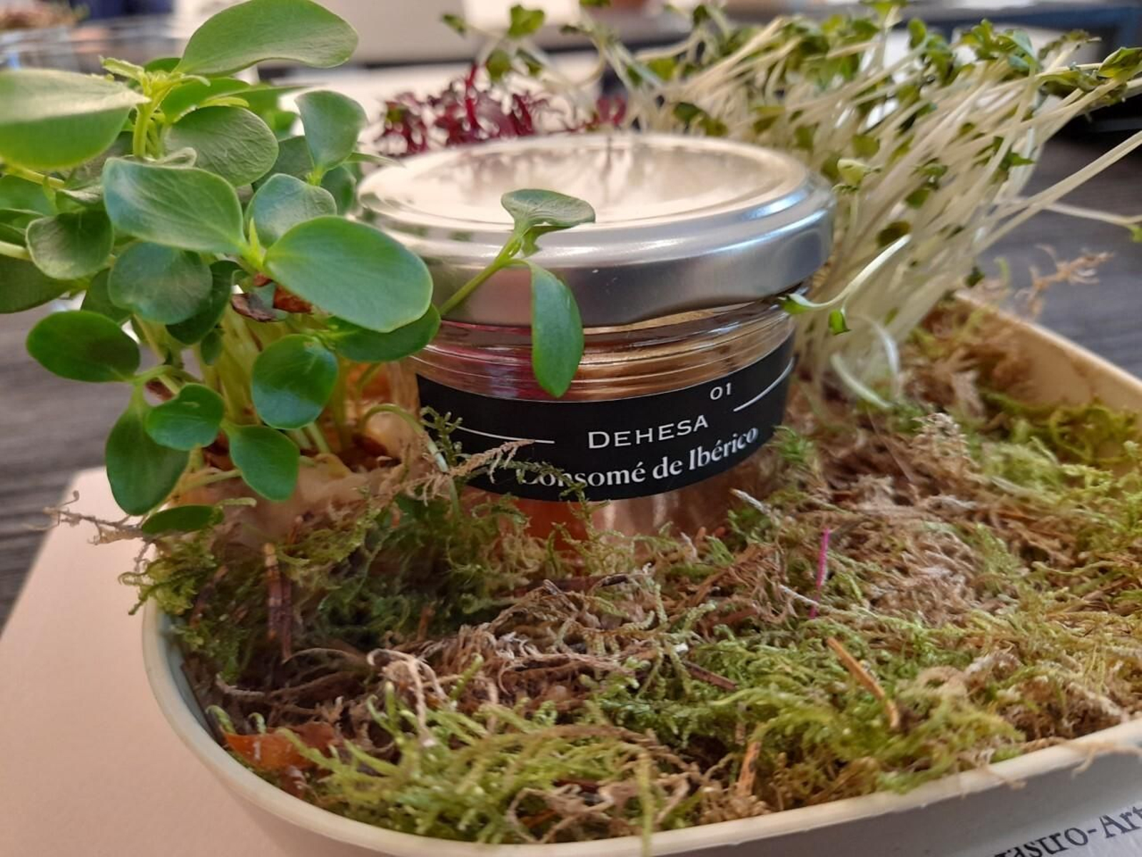 El consomé de hueso de jamón entre brotes y musgos de la serranía onubense