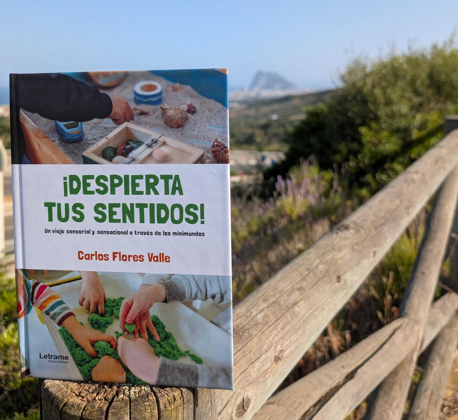 ¡Despierta tus sentidos!, la obra de Carlos Flores Valle