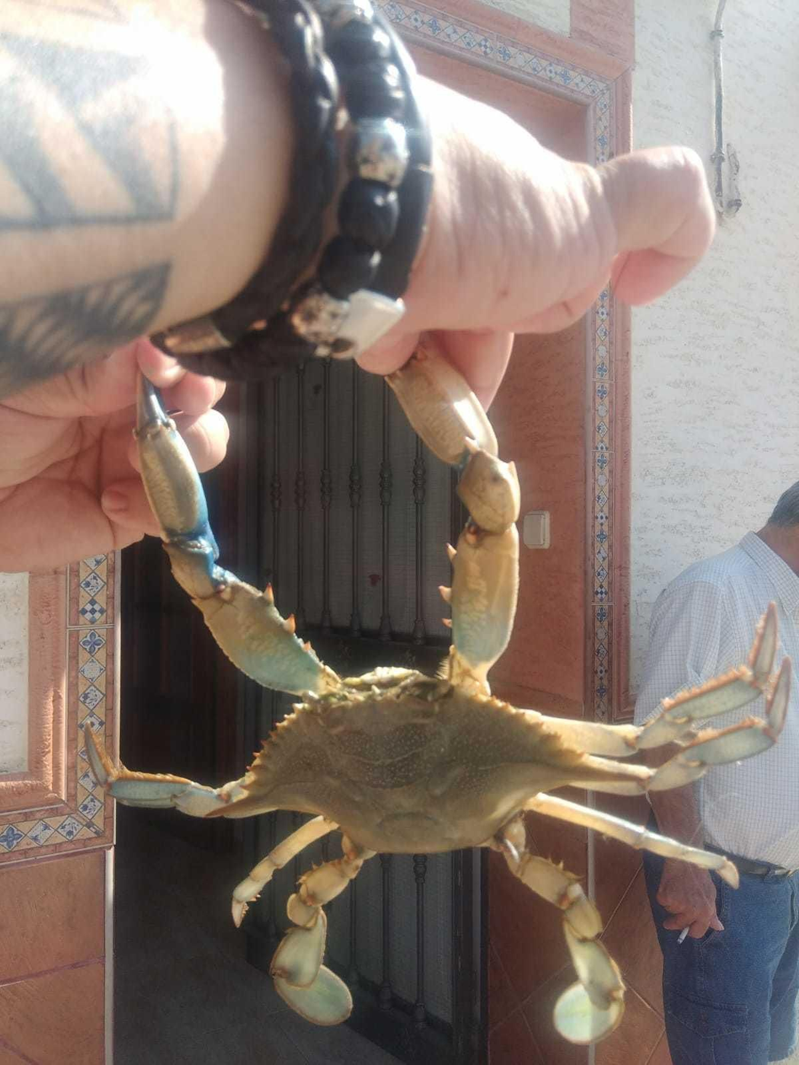 Un de los ejemplares capturados, sostenido por un vecino de Isla Mayor.