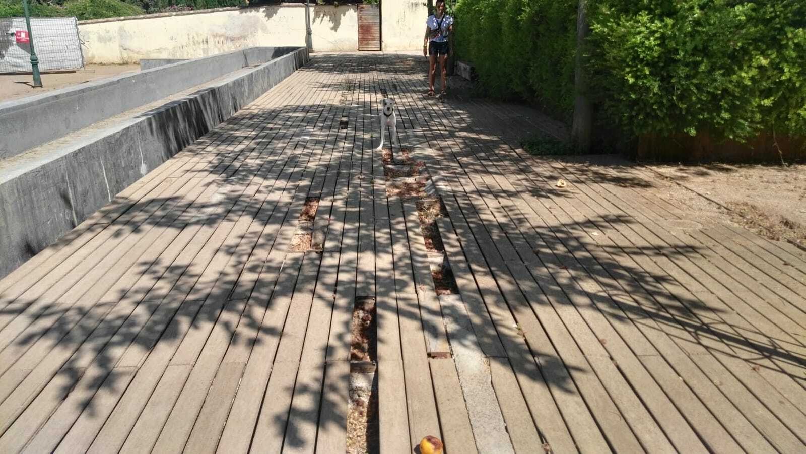 Las imágenes del estado del parque del Cuarto Real de Santo Domingo