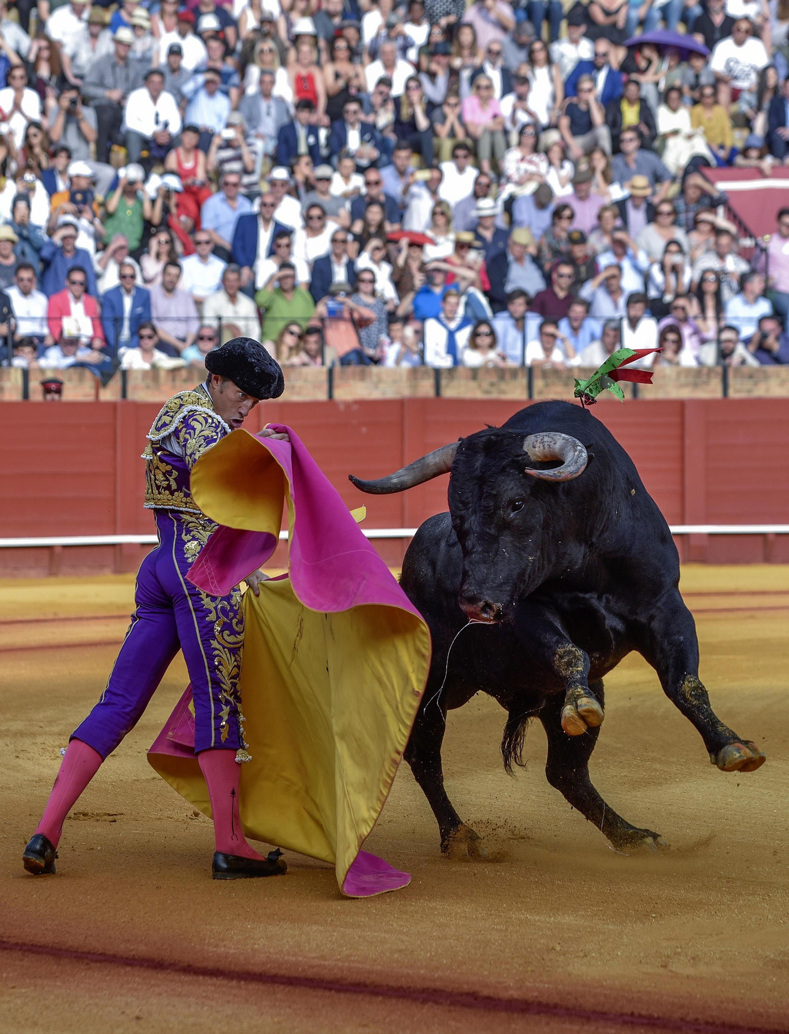 Las imágenes de la 14ª de abono de la Maestranza