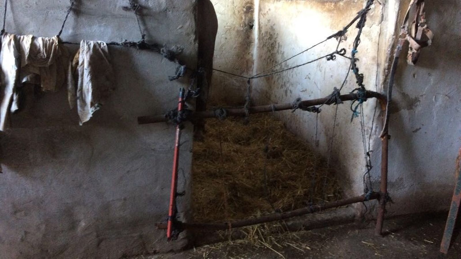 Una de las cuadras de Málaga.