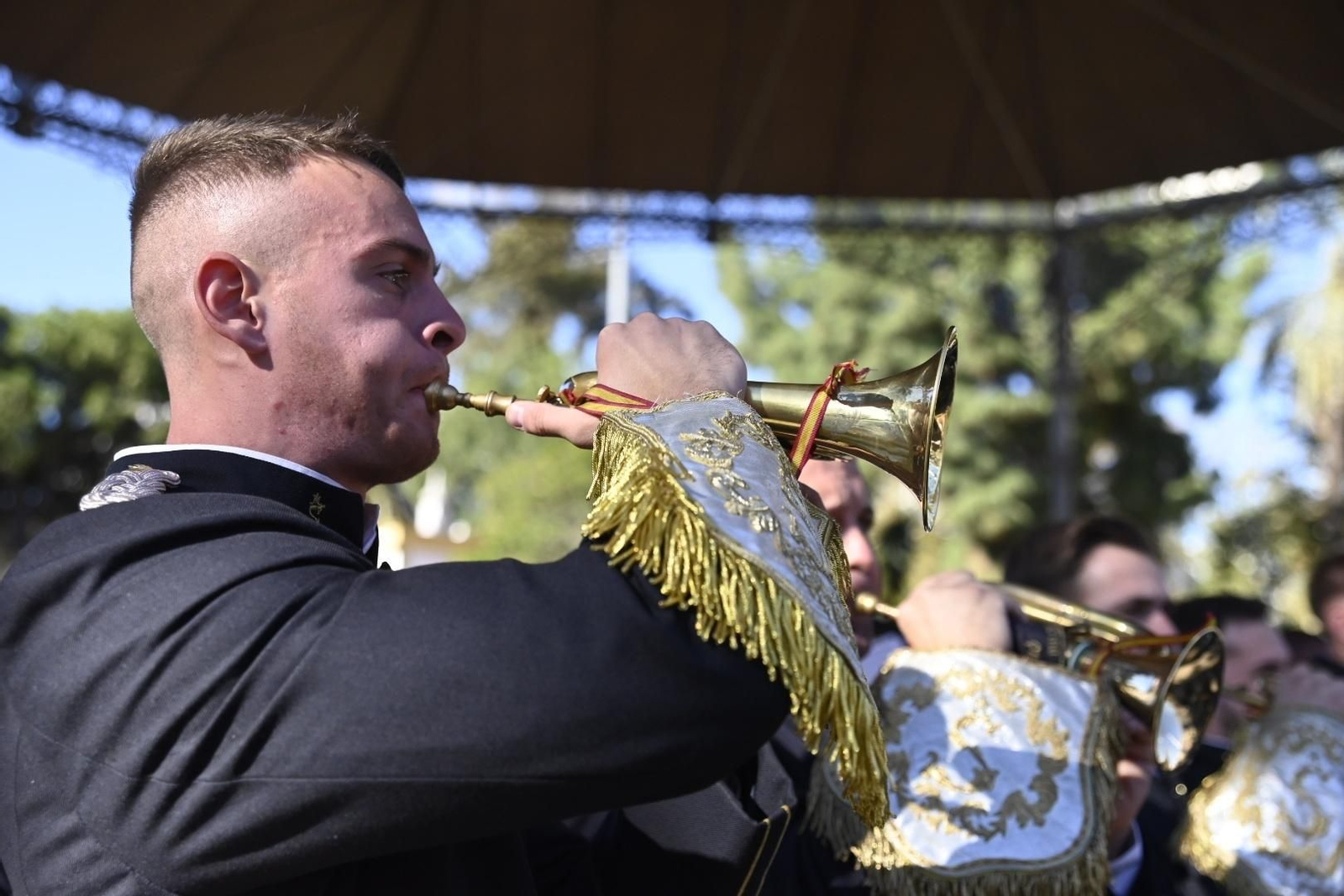 El primer certamen de bandas de Córdoba por Santa Cecilia, en imágenes