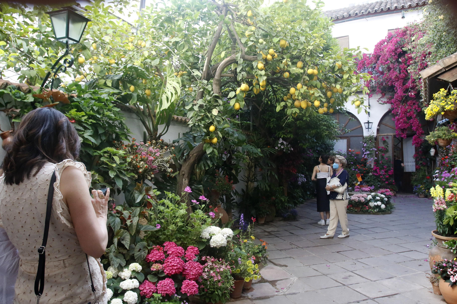Patio de la Palma, 3