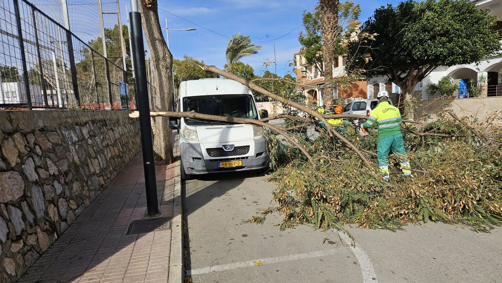 Rama caída en la Avda. Guillermo Reyna, en Huércal-Overa.