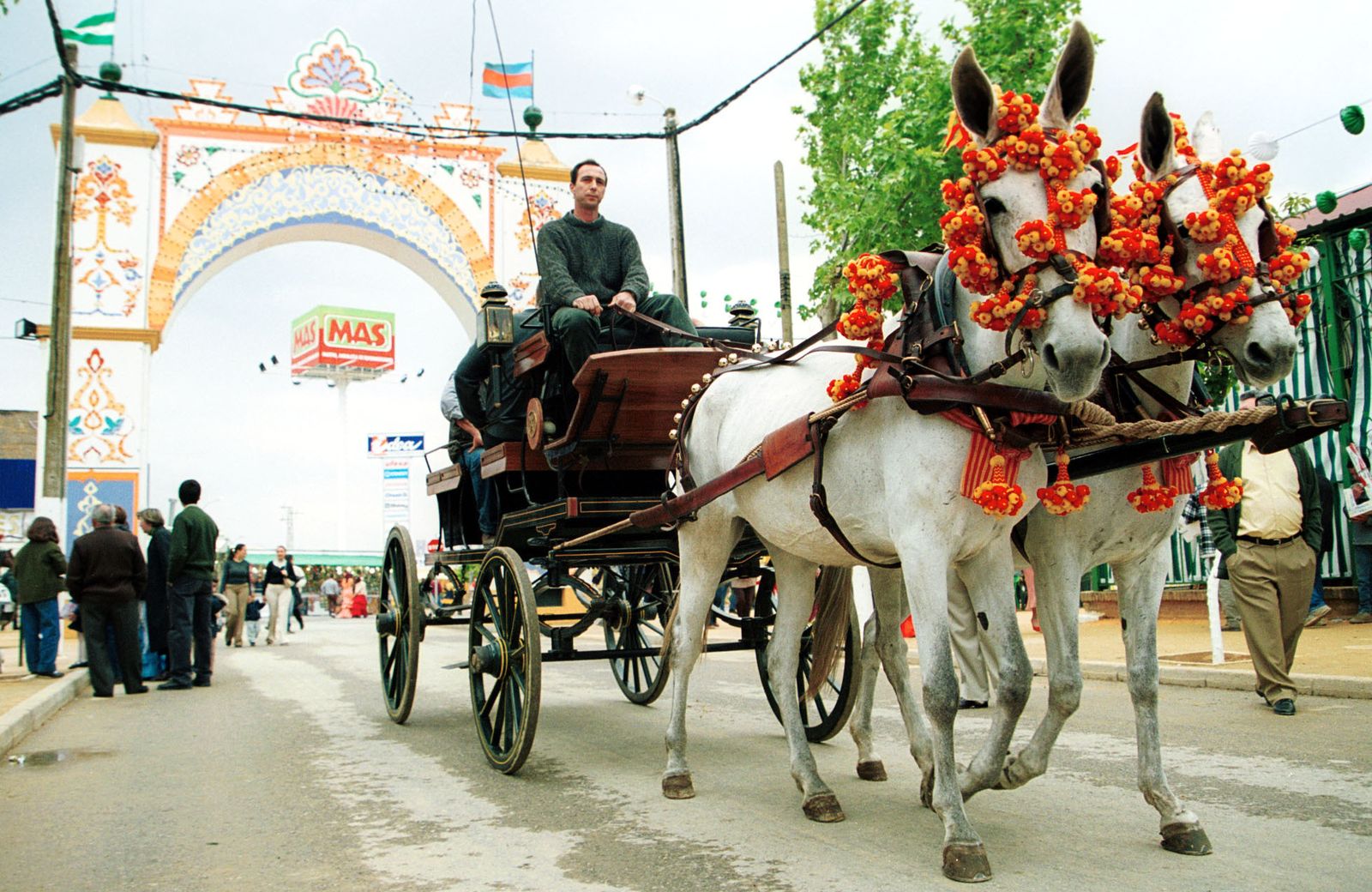 El fin de semana pasado ya se celebró la preferia.