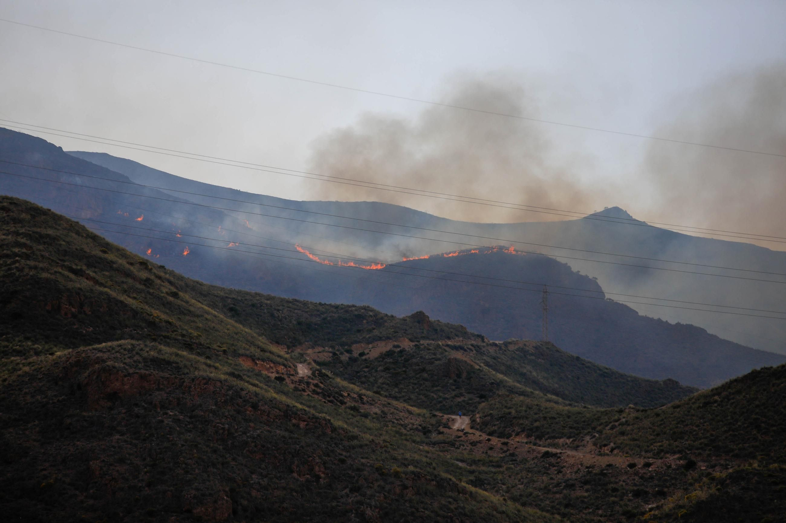 Las imágenes del incendio forestal que avanza en la sierra de Huércal