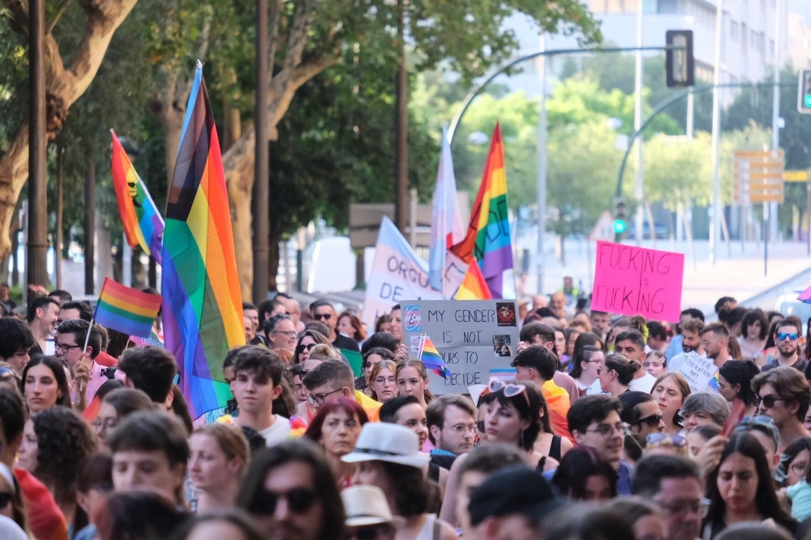 La marcha del Orgullo LGTBIQ+ en Córdoba, en imágenes