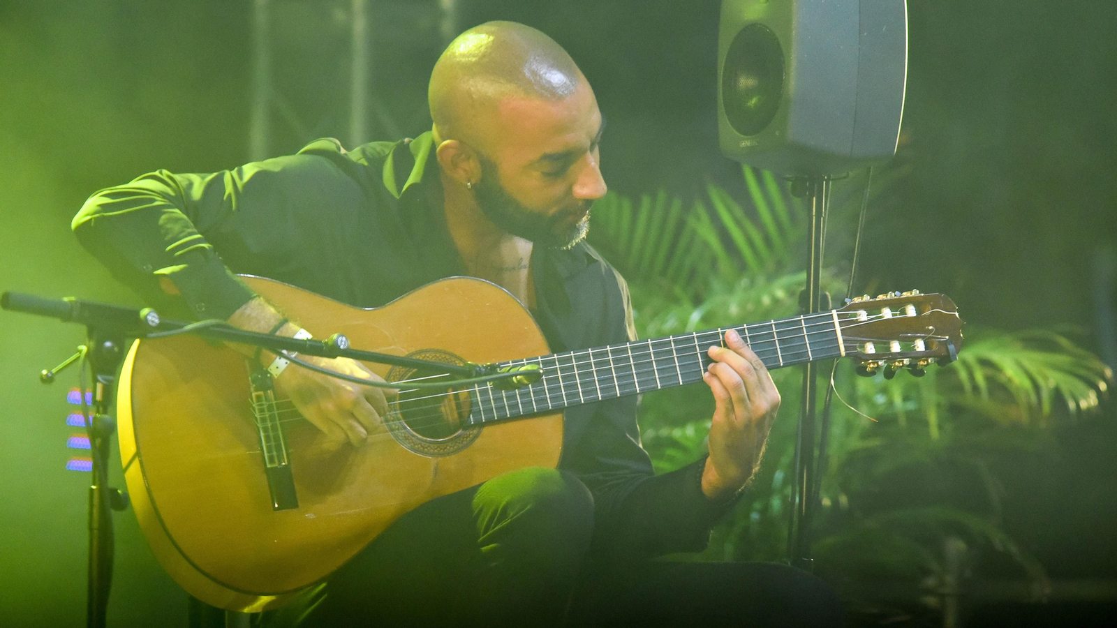 Fotos del concierto de Diego del Morao en el IX Encuentro Internacional de guitarra Paco de Lucía