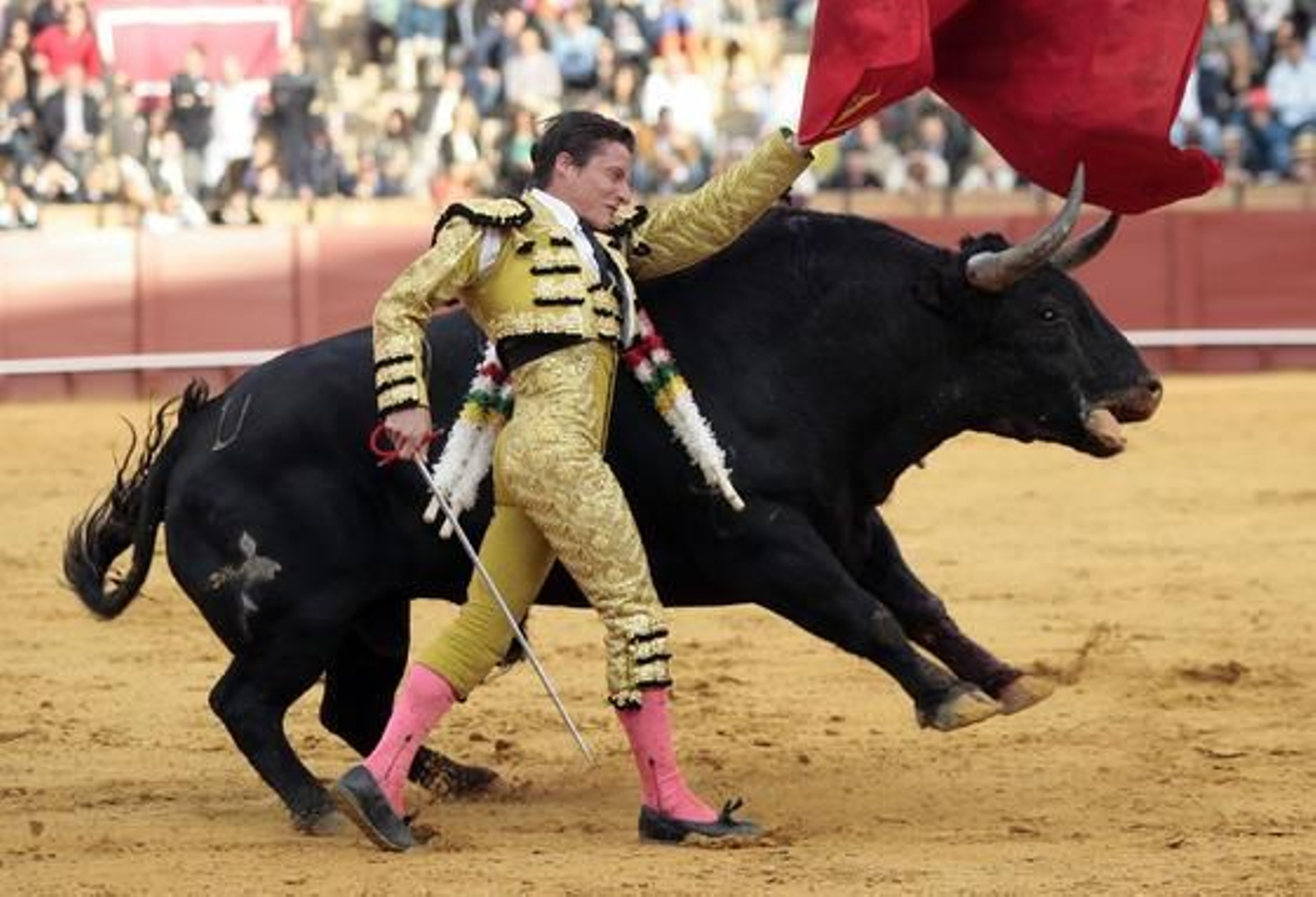 Diego Urdiales, con el cuarto.

Foto: Juan Carlos Muñoz