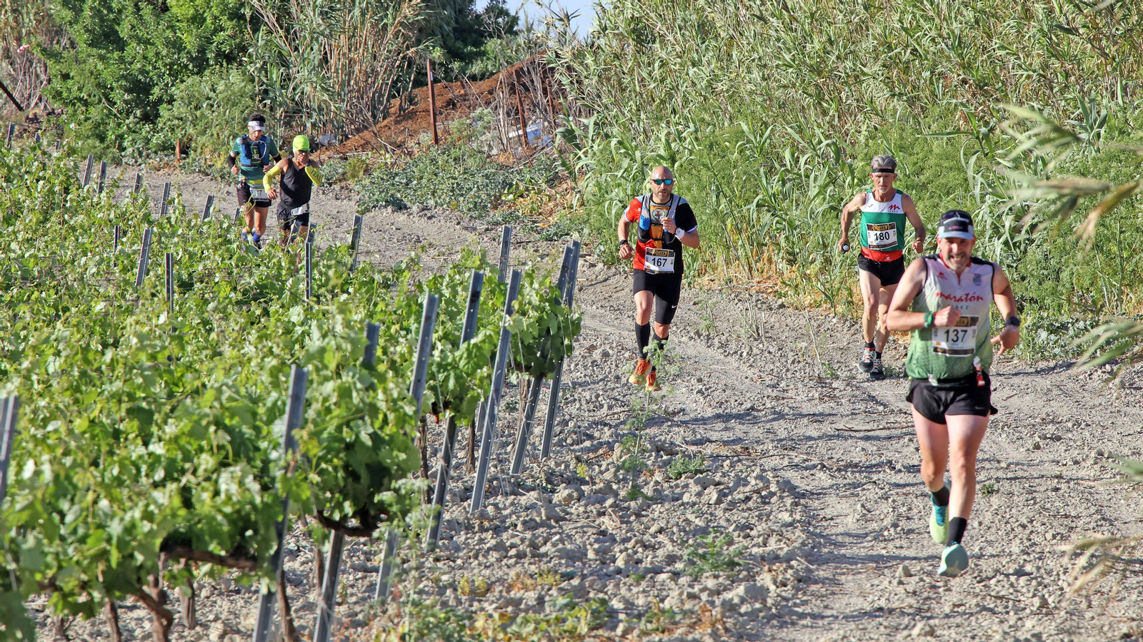 VI Sherry Maratón Jerez