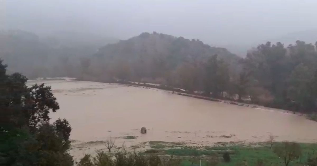 Antes, todo esto era campo: miles de hectáreas de cultivos en Cádiz han quedado bajo el agua