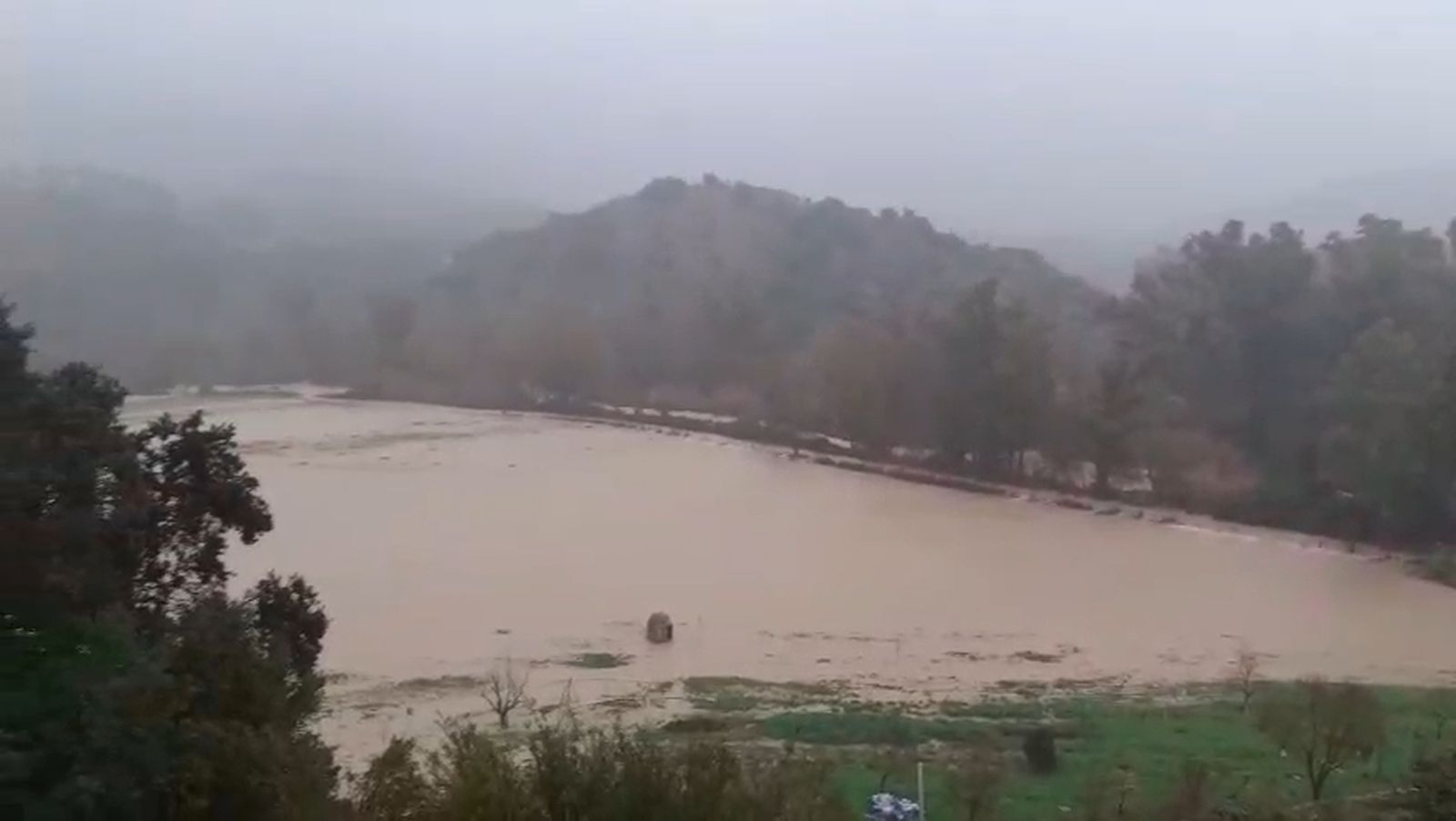 Cultivos de alfalfa en la Sierra de Cádiz, anegados.