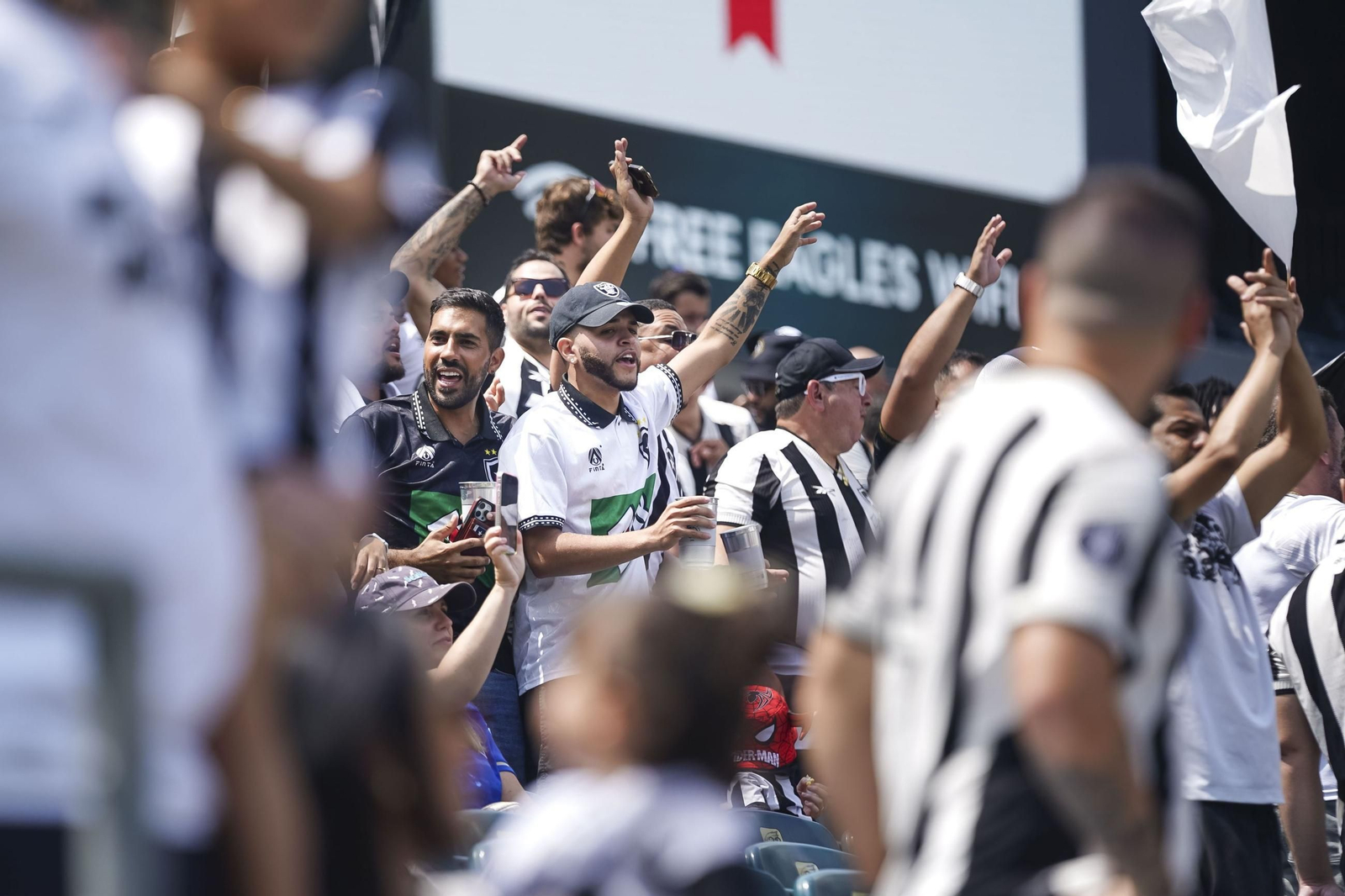 Palmeiras-Botafogo (48).jpg